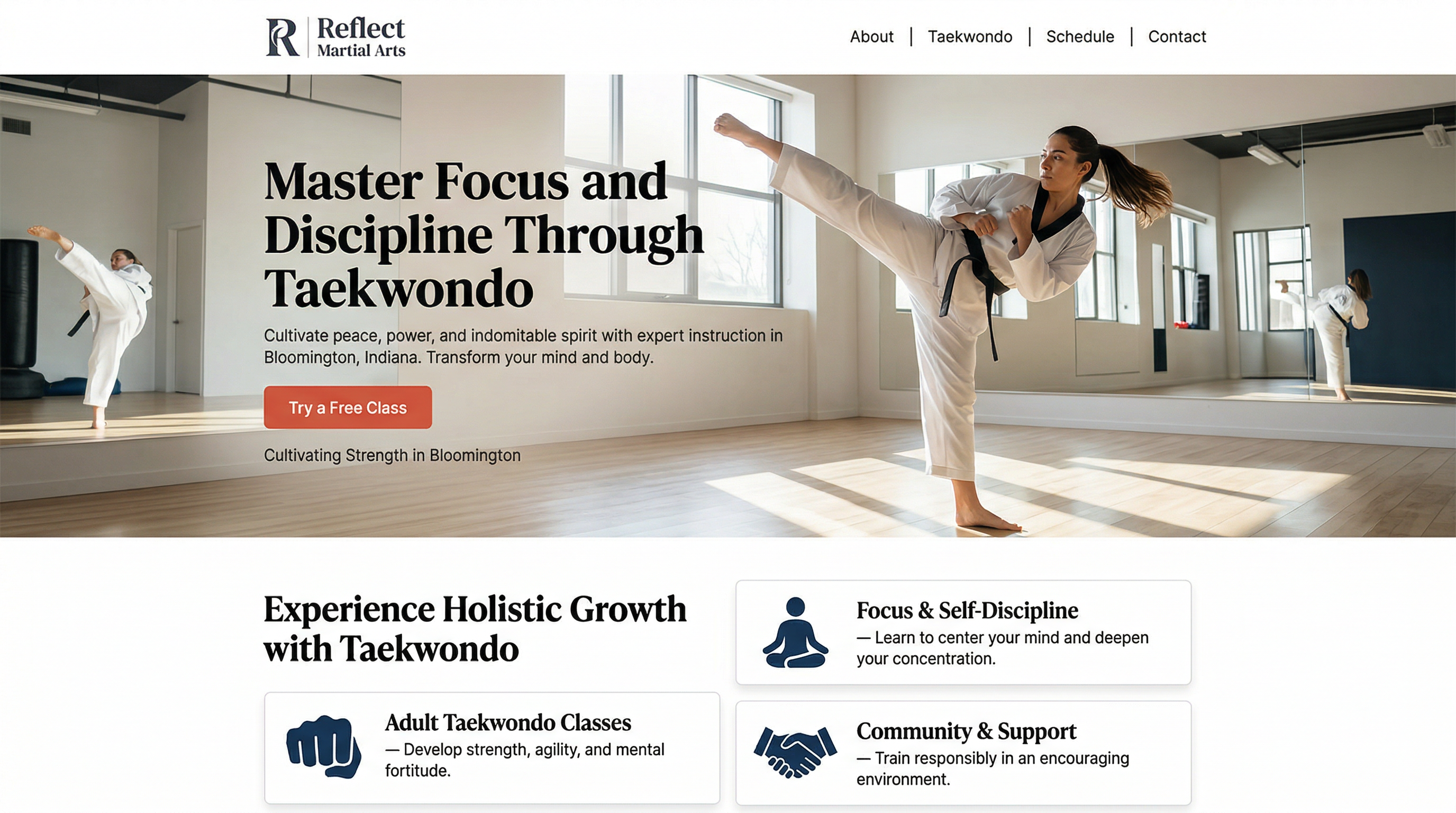 Reflect Martial Arts website preview